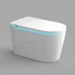 JN JN602 Smart Toilet