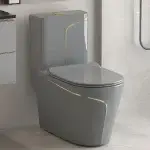 Toilette monobloc T2260 gris et or.
